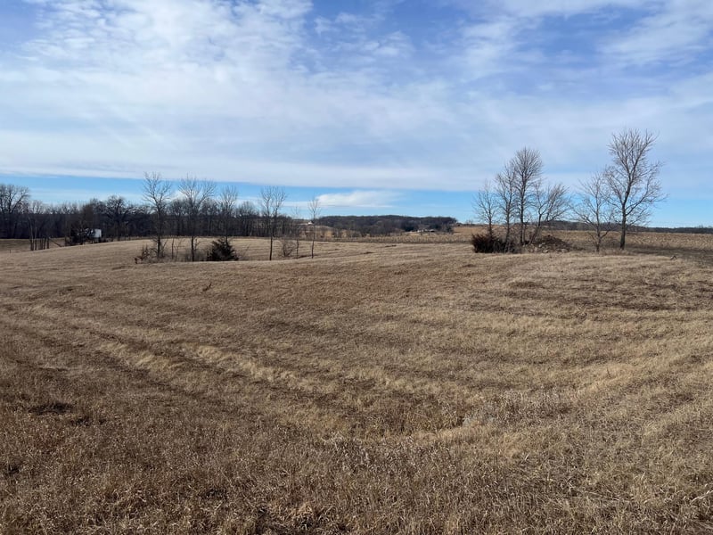 66514 325th St, Watkins, MN 55389