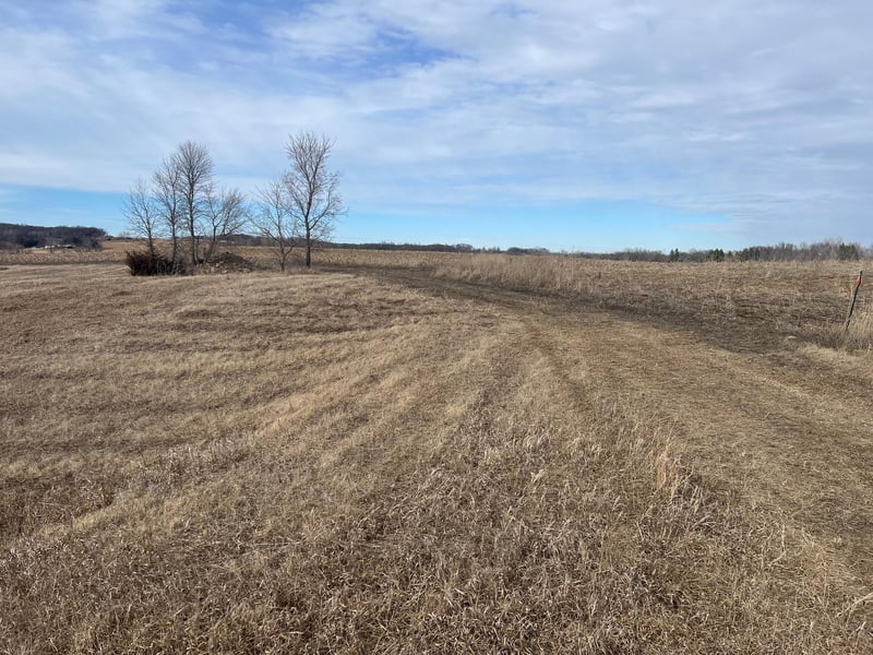 66514 325th St, Watkins, MN 55389