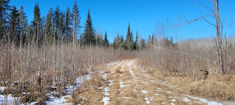 3921 County Road 10, Littlefork, MN 56653