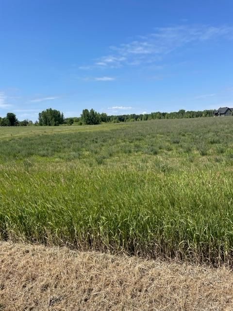 8225 Davis St, Loretto, MN 55357