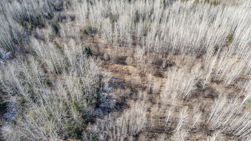 50XX Comstock Lake Rd, Cotton, MN 55724