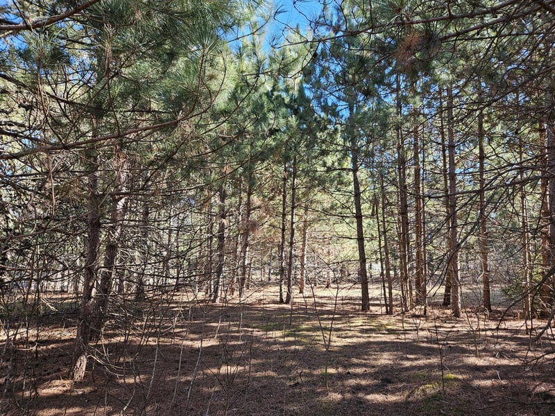 903 Scott Dr, Spooner, WI 54801
