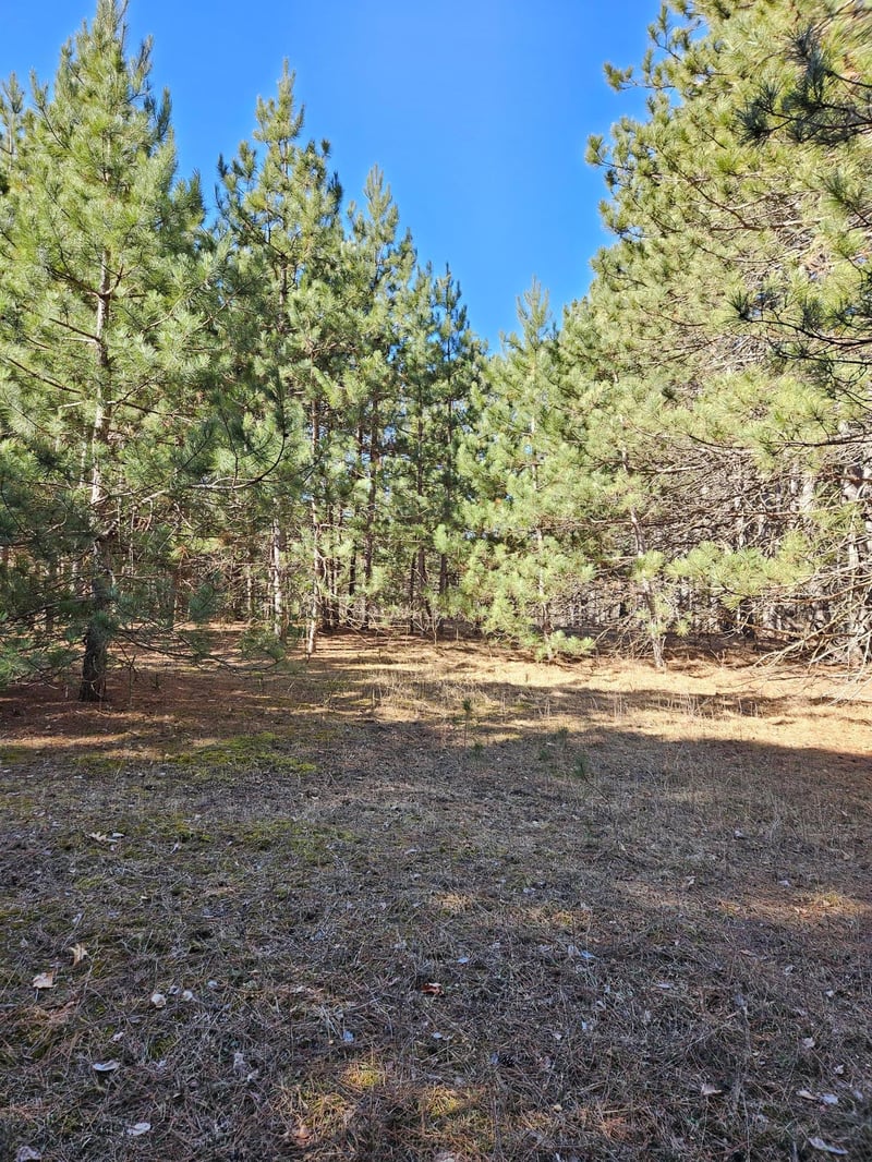 903 Scott Dr, Spooner, WI 54801