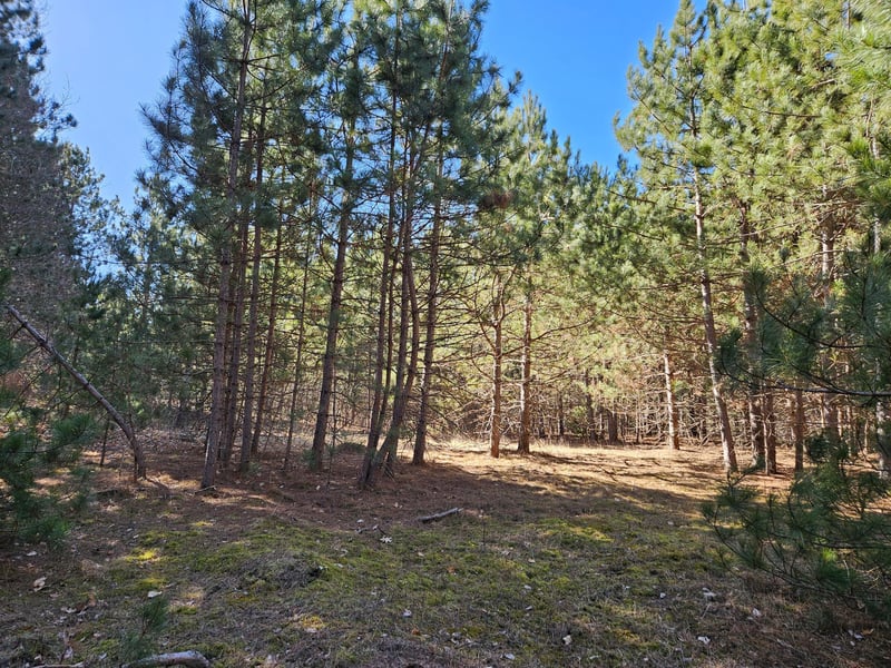 903 Scott Dr, Spooner, WI 54801