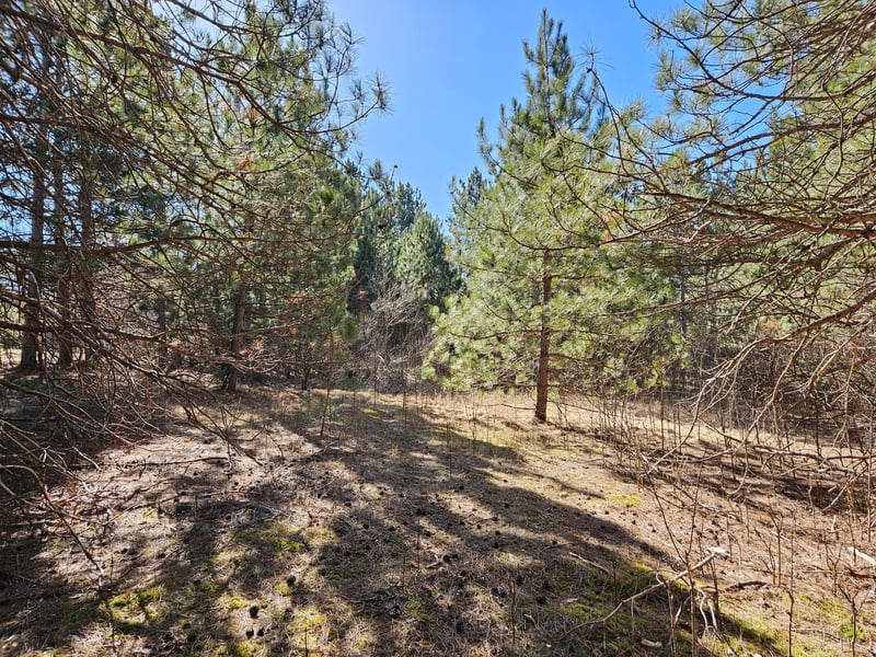 903 Scott Dr, Spooner, WI 54801