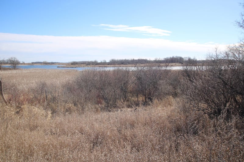 XXXX 135th St, Villard, MN 56385