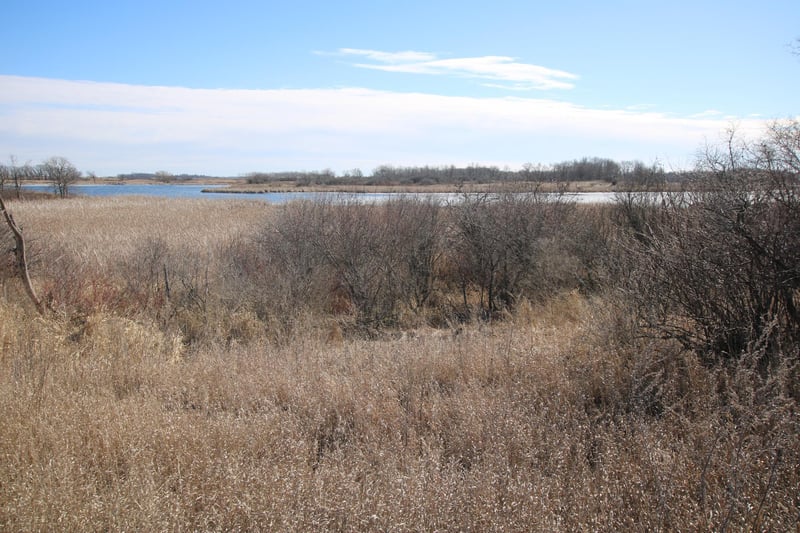 XXXX 135th St, Villard, MN 56385