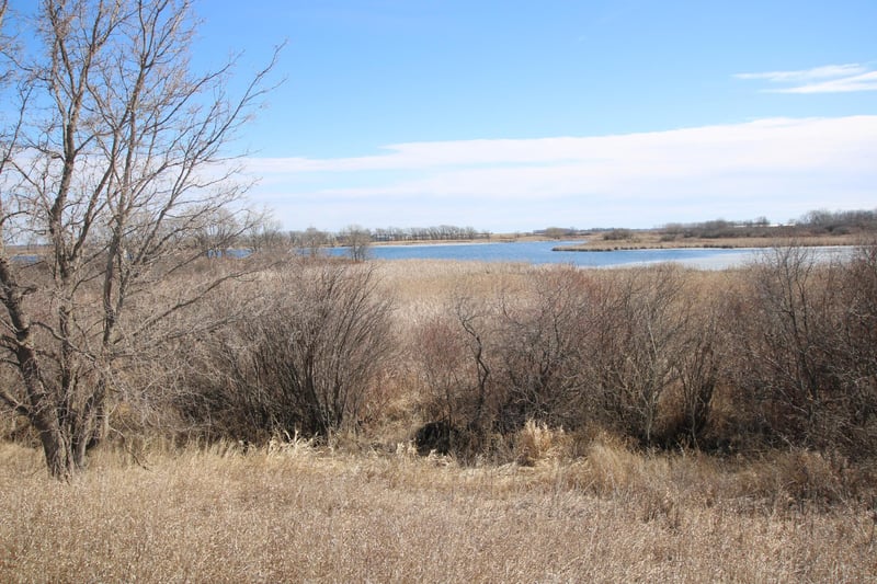 XXXX 135th St, Villard, MN 56385