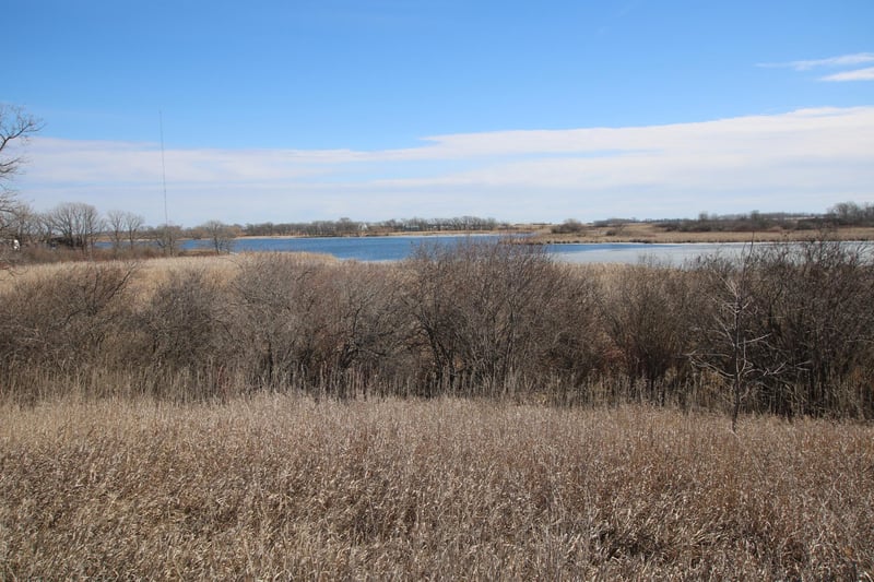 XXXX 135th St, Villard, MN 56385