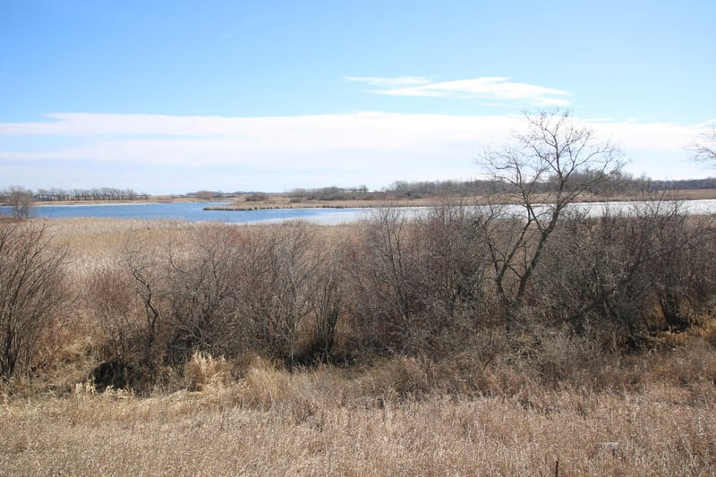 XXXX 135th St, Villard, MN 56385