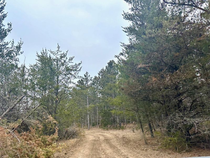 TBD Anthony Rd SW, Brainerd, MN 56401