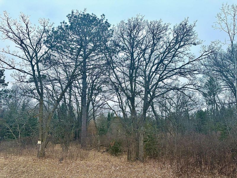 TBD Anthony Rd SW, Brainerd, MN 56401
