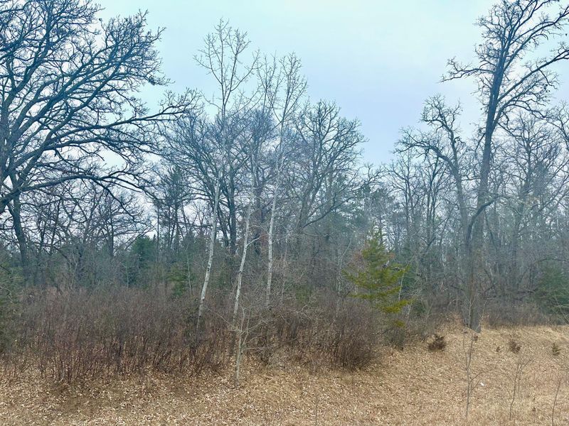 TBD Anthony Rd SW, Brainerd, MN 56401