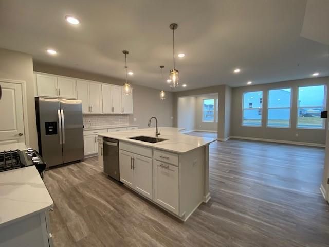 14972 Athlone Pl, Rosemount, MN 55068