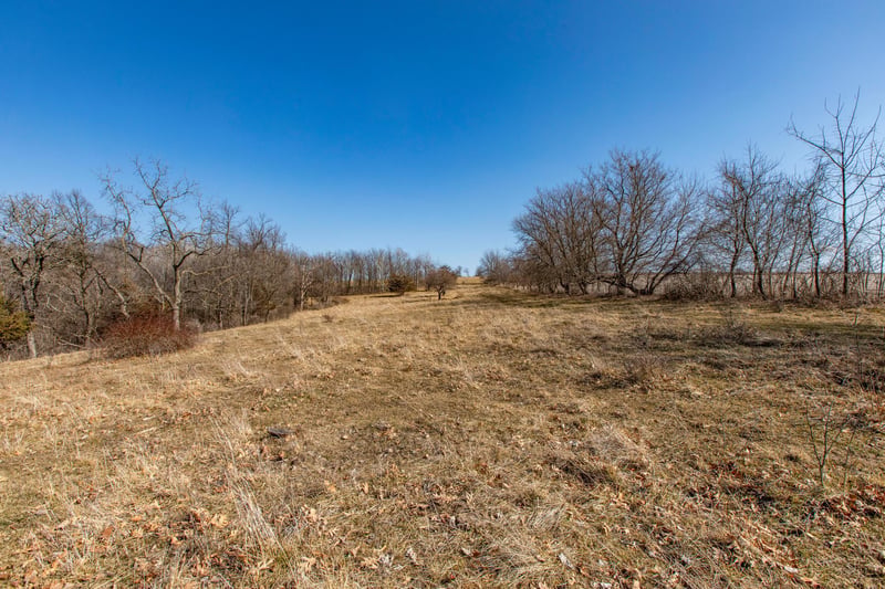 36310 Edgewood Rd, Canton, MN 55939