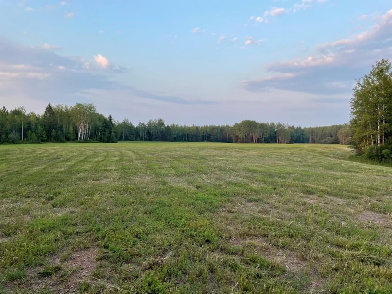 xxx County Rd 1, Wrenshall, MN 55797