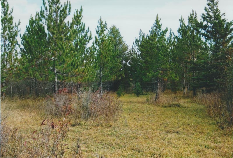xxx County Rd 1, Wrenshall, MN 55797