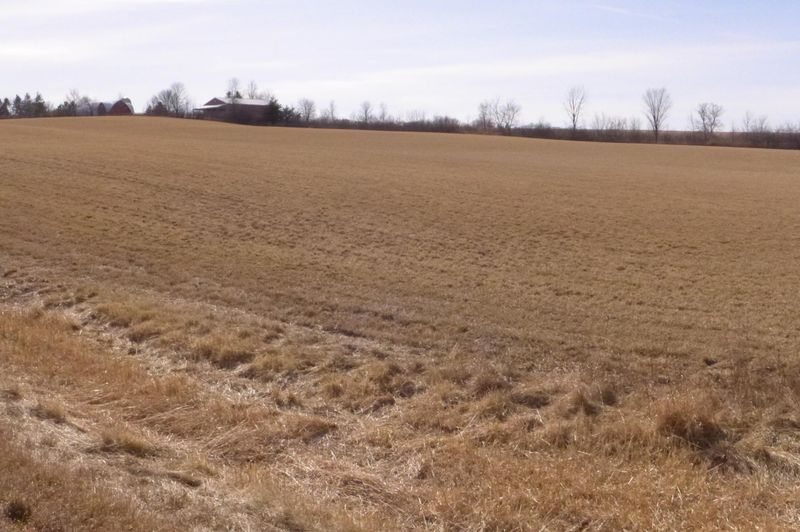XXXX 650th St, Ellsworth, WI 54011