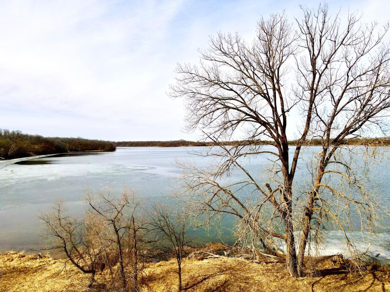 TBD-6.5AC 395th Ave, Clitherall, MN 56524