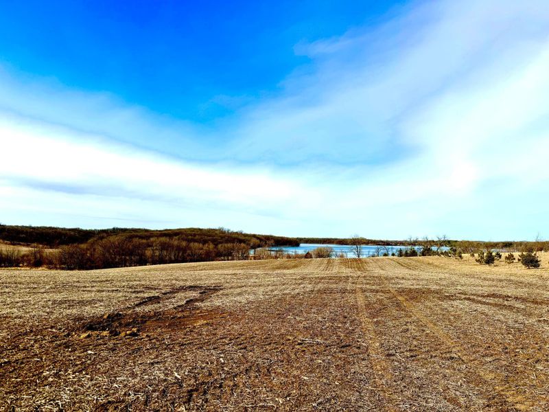 TBD-6.5AC 395th Ave, Clitherall, MN 56524