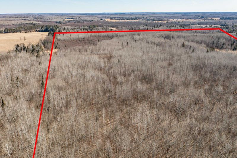 TBD State Highway 38, Bigfork, MN 56628