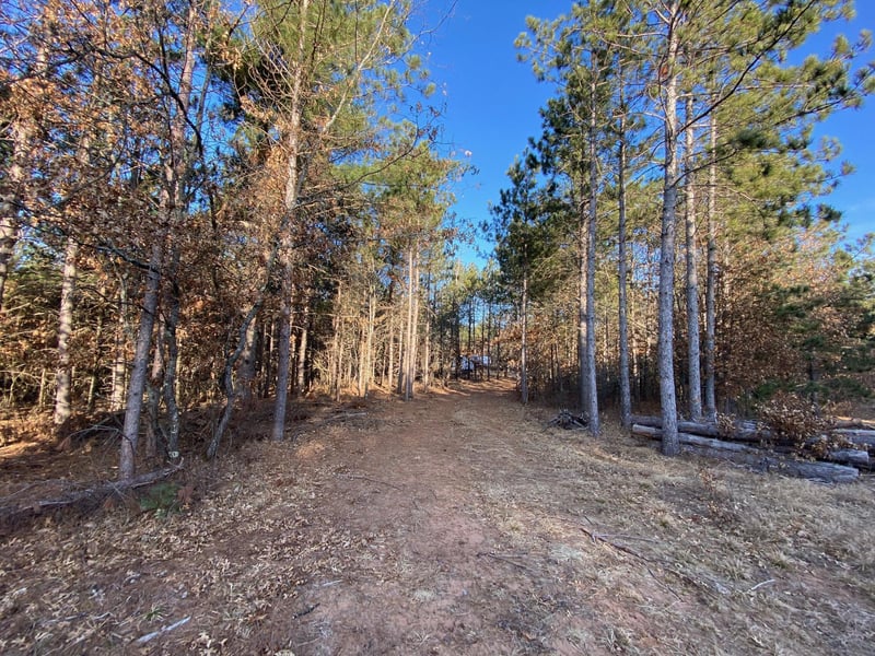 14163 S Blackberry Ln, Gordon, WI 54838