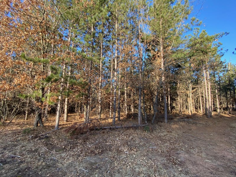 14163 S Blackberry Ln, Gordon, WI 54838