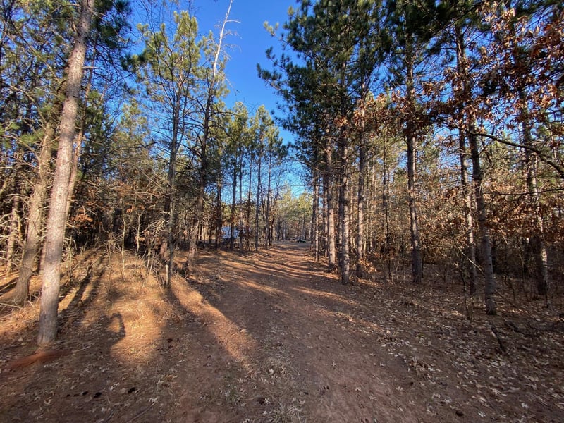 14163 S Blackberry Ln, Gordon, WI 54838