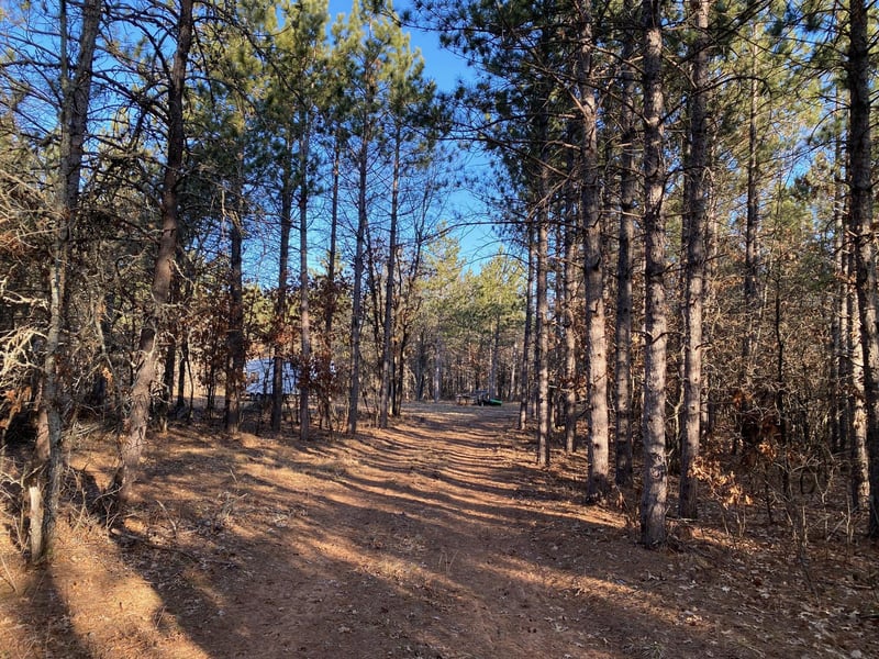 14163 S Blackberry Ln, Gordon, WI 54838
