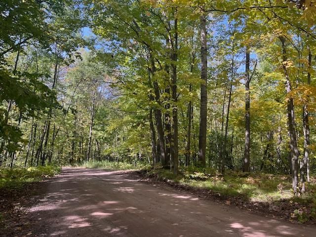 11xx 187th Ave, Georgetown Twp, WI 54810