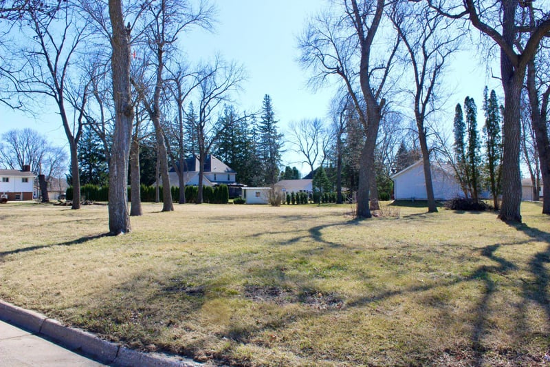 XXX Center Ave N, Blooming Prairie, MN 55917
