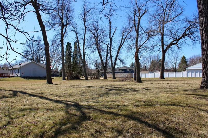 XXX Center Ave N, Blooming Prairie, MN 55917