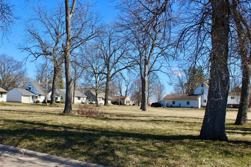 XXX Center Ave N, Blooming Prairie, MN 55917