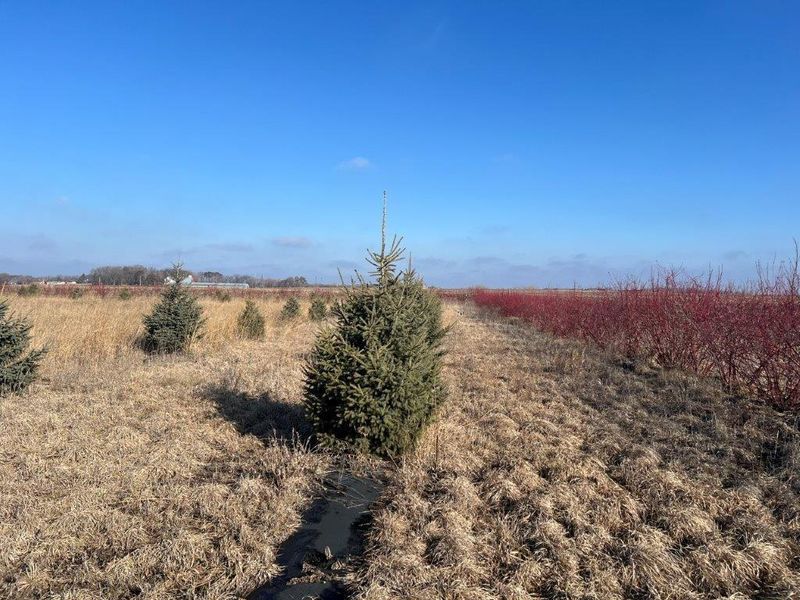 XXX Highview Dr SW, Montevideo, MN 56265