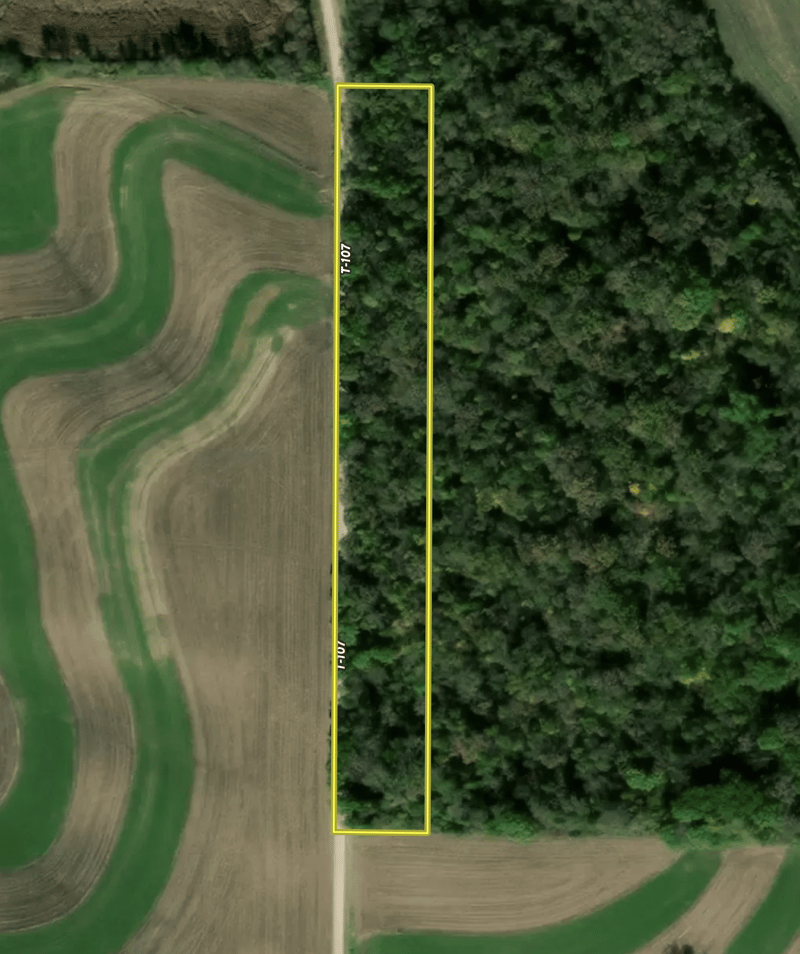 xxxx 355th Ave, Zumbro Falls, MN 55991