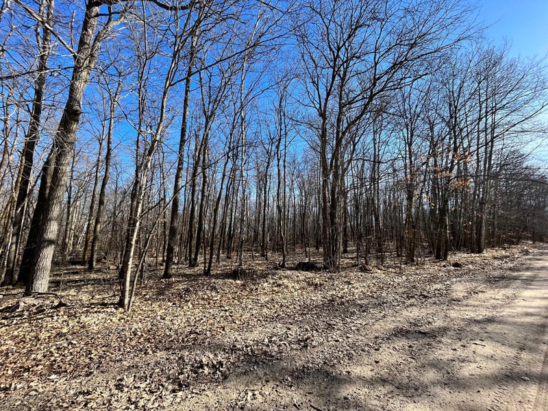 TBD Cherry Lake Rd, Ogema, MN 56569