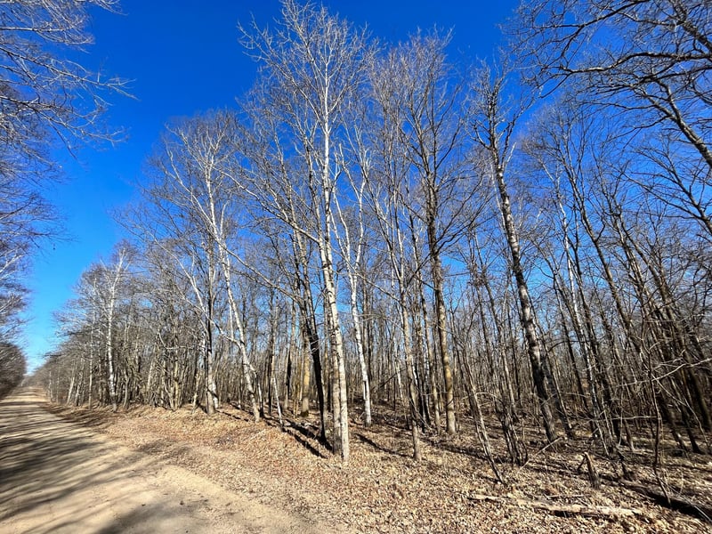 TBD Cherry Lake Rd, Ogema, MN 56569