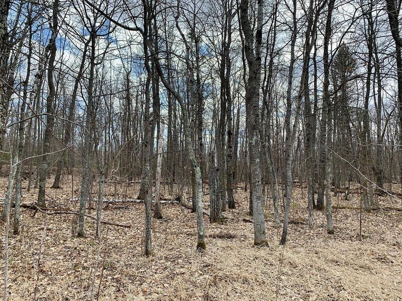 LOT 4 Woodtick Trl NW, Hackensack, MN 56452