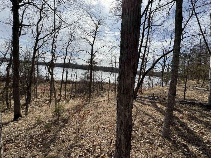 TBD Gryce Styne Rd NE, Bemidji, MN 56601
