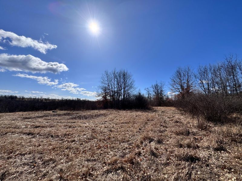 TBD Coneflower Dr SW, Pine River, MN 56474