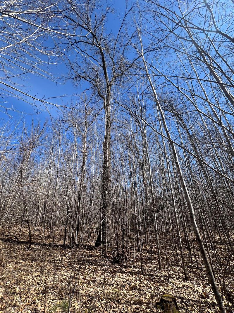 0000N Carlson Rd, Siren, WI 54872