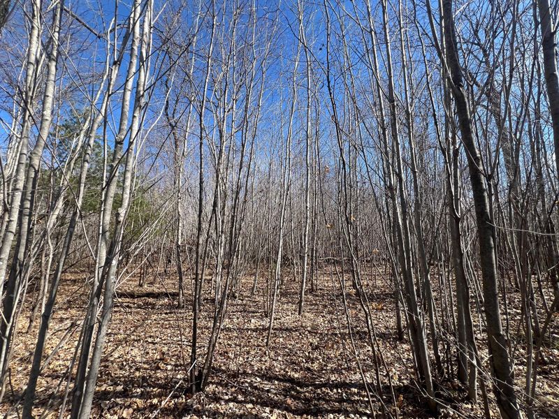 0000S Carlson Rd, Siren, WI 54837