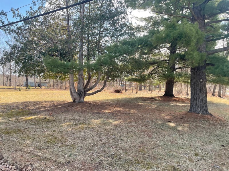 xxx Center St, Taylors Falls, MN 55084
