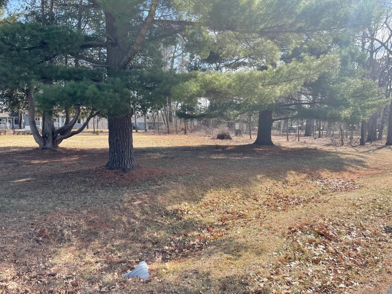 xxx Center St, Taylors Falls, MN 55084