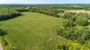 XXXX 101st St, Apple River Twp, WI 54001