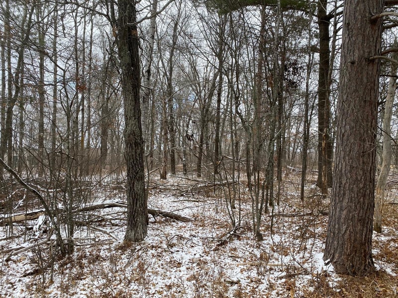 000 E County Road Y, Gordon, WI 54838