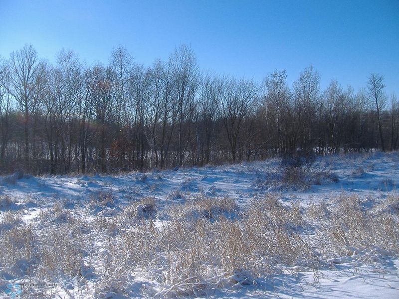 000 Tbd, Ogema, MN 56569