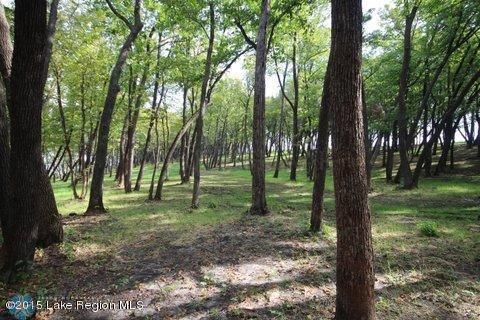 LOT 5 Coleman Rd, Clitherall, MN 56524