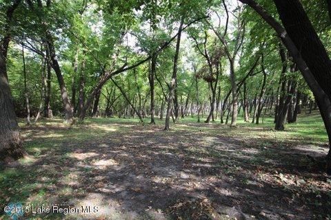 LOT 5 Coleman Rd, Clitherall, MN 56524