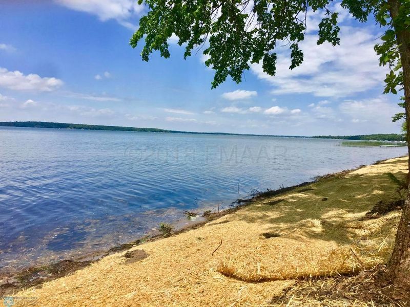 LOT 4 Coleman Rd, Clitherall, MN 56524